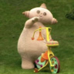 Meet your Posher, Daisy